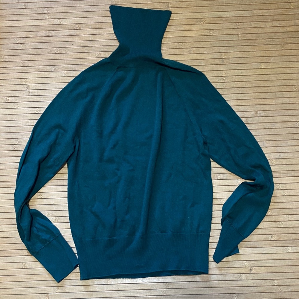 Banana Republic Merino Wool Turtleneck Sweater